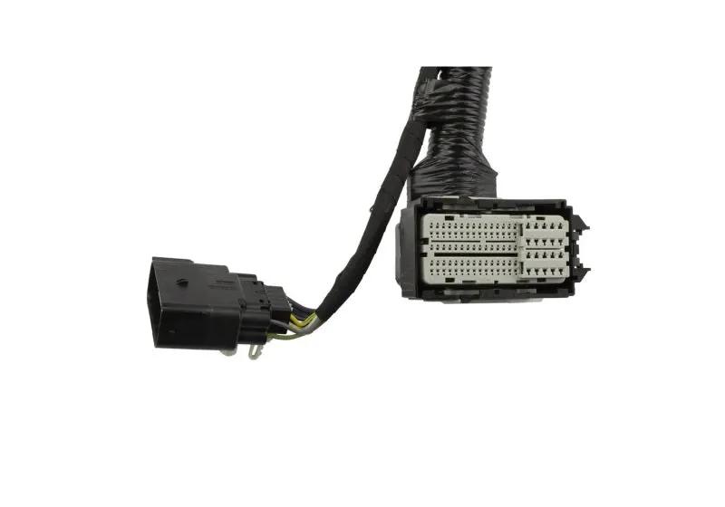 Ford Racing FR Harnesses by Ford Racing