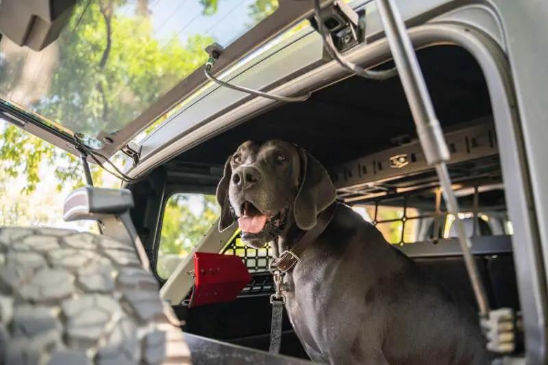 DV8 Offroad DVE Molle Panels by DV8 Offroad