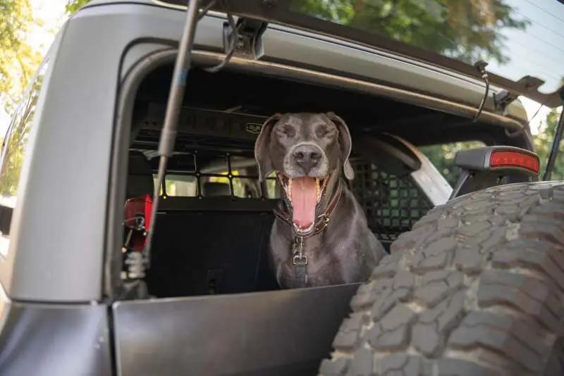 DV8 Offroad DVE Molle Panels by DV8 Offroad