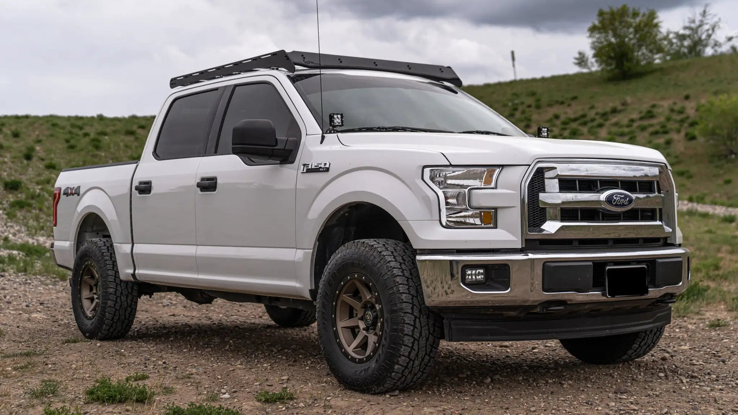 CBI Ford Raptor / F150 Prinsu Roof Rack | 2015-2020 by CBI