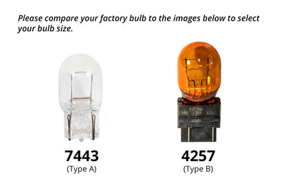 Diode Dynamics DIO Replacement Bulbs