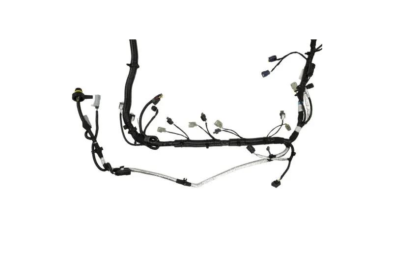 Ford Racing FR Harnesses by Ford Racing