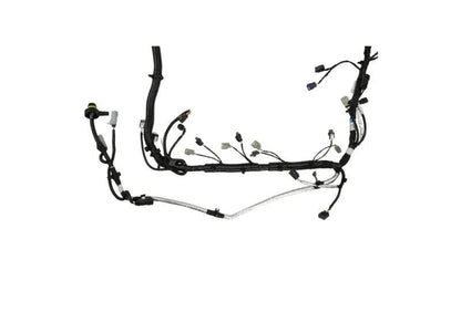 Ford Racing FR Harnesses by Ford Racing