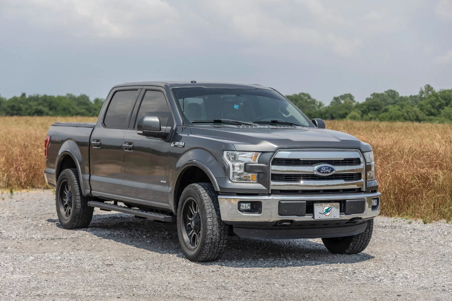 Rough Country BA2 Running Board | Side Step Bars | Ford F-150/F-250/F-350 2WD/4WD (15-26) by Rough Country