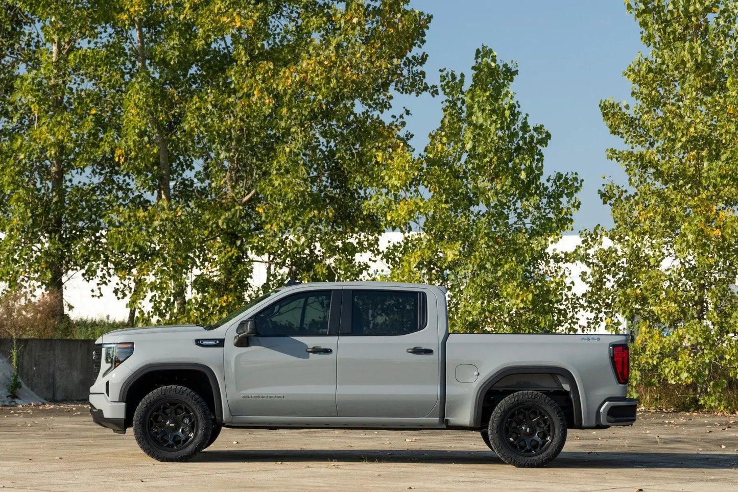 Rough Country N3 Leveling Struts | 2 Inch | Loaded Strut | Chevy/GMC Sierra 1500 (19-26)/Silverado 1500 (19-26) by Rough Country
