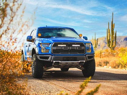 TRIPLE-R-LIGHTS Ford F-150 Raptor Grille Kit with Carbon-6