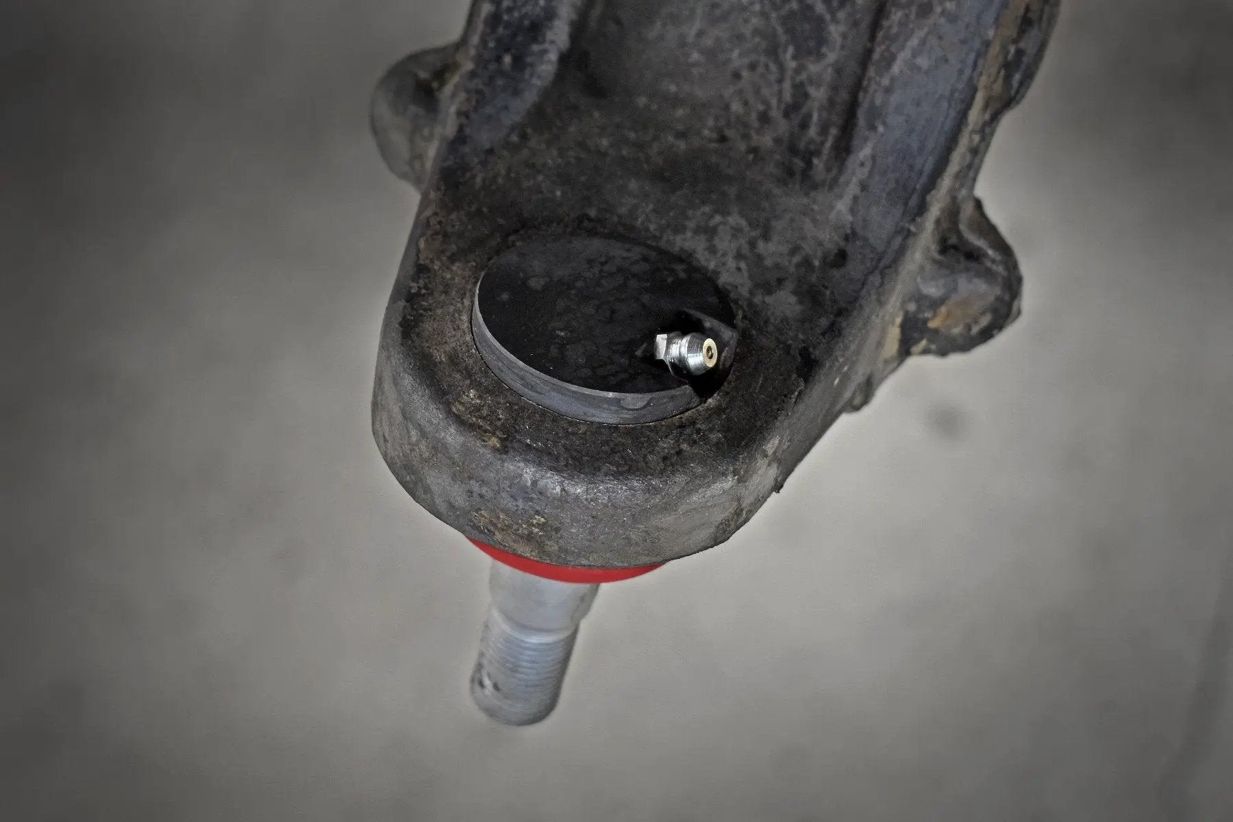Rough Country Heavy Replacement Ball Joints | Jeep Wrangler JK/Wrangler Unlimited (07-18) by Rough Country